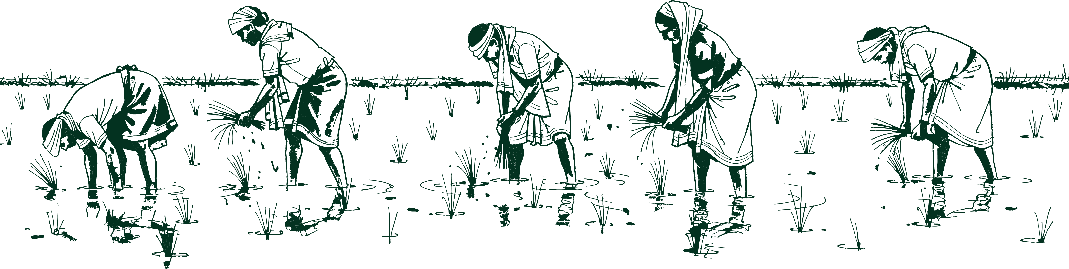 Farmers working in field