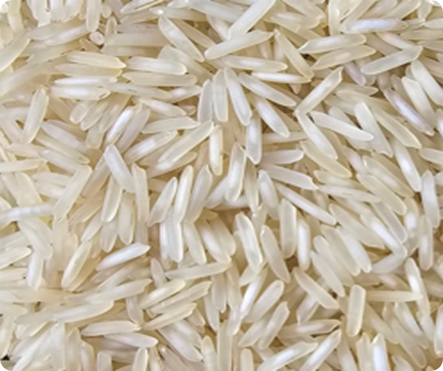 1121 Basmati rice exporter premium quality